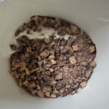 McDonald's Dondurmasında Kıl Çıktı Ve Yanıt Alamadım