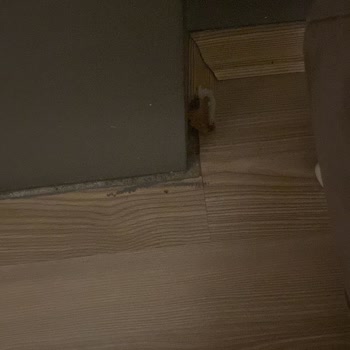 Beko Klimada Tekrarlayan Su Sızıntısı Ve Ev Hasarı