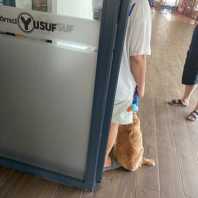 Köpekli Müşteriye Giriş Reddedildi, Sigara İçme İzni Verildi