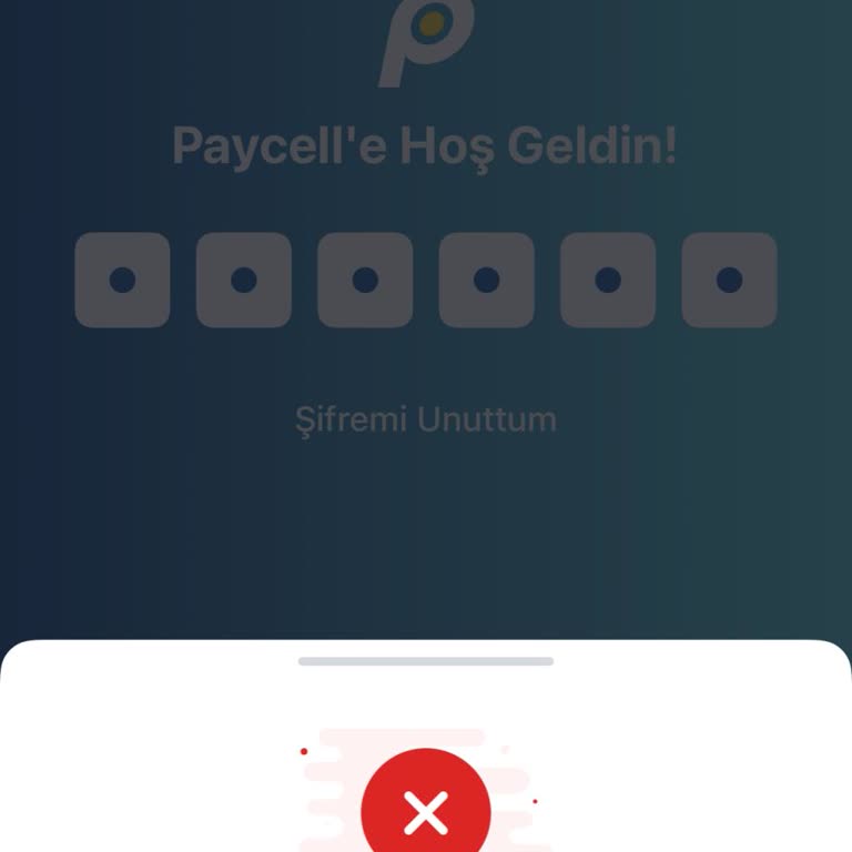 Hesabım Güvenlik Nedeniyle Kapatıldı Ve 400 TL Bakiyeme Erişemiyorum
