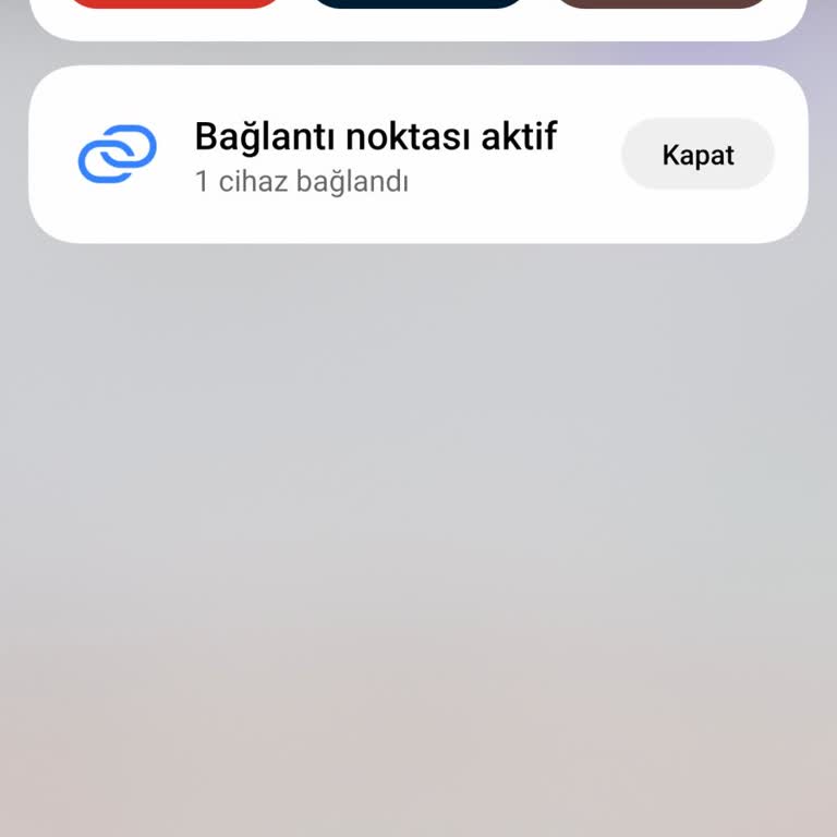 Müşteri Hizmetlerine Ulaşılamama Ve Uzun Bekleme Şikayeti