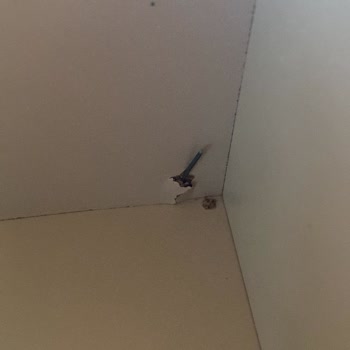 Kırık Mobilyalar, Yetkili Hakareti Ve Satışın Tek Taraflı İptali