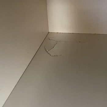 Kırık Mobilyalar, Yetkili Hakareti Ve Satışın Tek Taraflı İptali