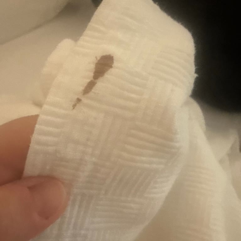 Deniz Simsiyah Ve Oda Kirli: Jolly Tur Yanıltıcı Bilgi Verdi