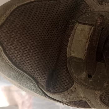 Garanti Süresinde Yırtılan Ayakkabılara Değişim Ve İade Talebi