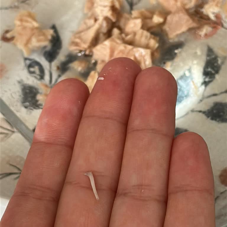 Derya Ton Balığında Kılçık Bulunması Çocuğumu Endişelendirdi