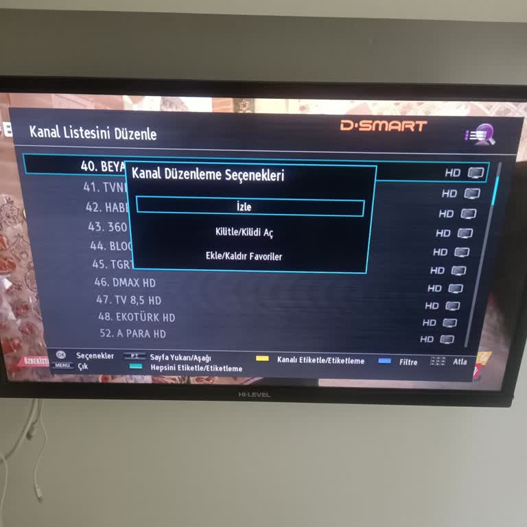 Hi-Level Televizyon Kanal Taşıma Menüsü Çalışmıyor, Yazılım Güncellemesi