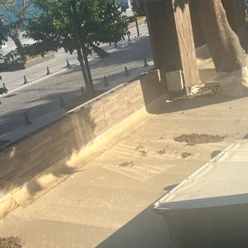 Akol Hotel’de Hijyen, Oda Ve Asansör Sorunları