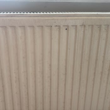 Taşınma Temizliği Yapılmadı Ve Ücret İadesi Talep Ediyorum