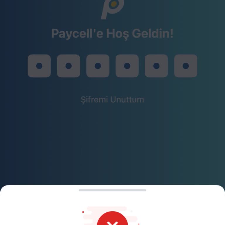 Paycell Hesabına Giriş Sorunu Ve Acil Çözüm Talebi