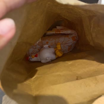 Popeyes Çocuk Menüsünde Hijyen İhlali Ve Kırık Oyuncak