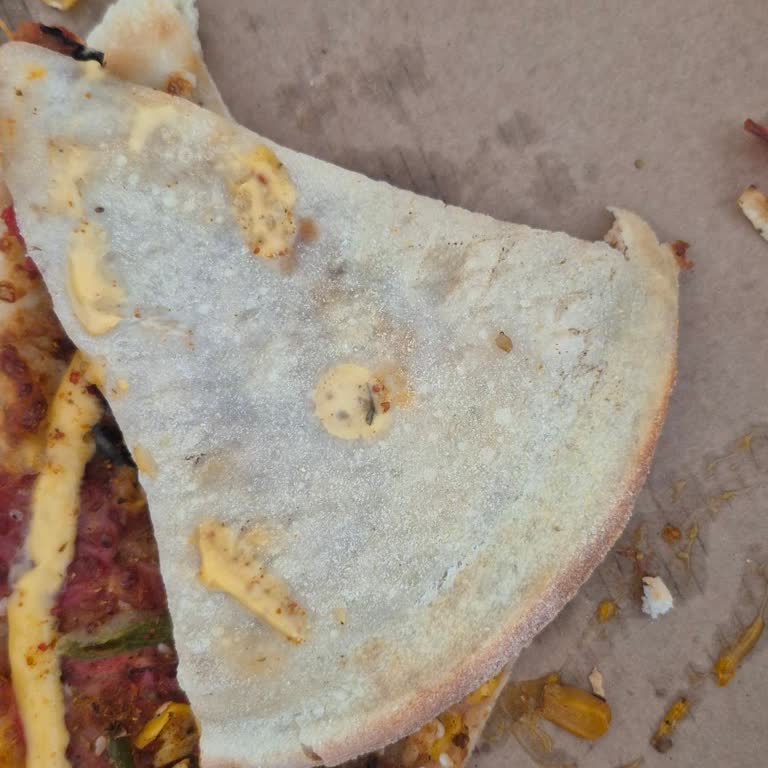 Çiğ Pizza Yedim Şiddetli Kusma Ve Ateş Yaşadım Domino’s’a Şikayet