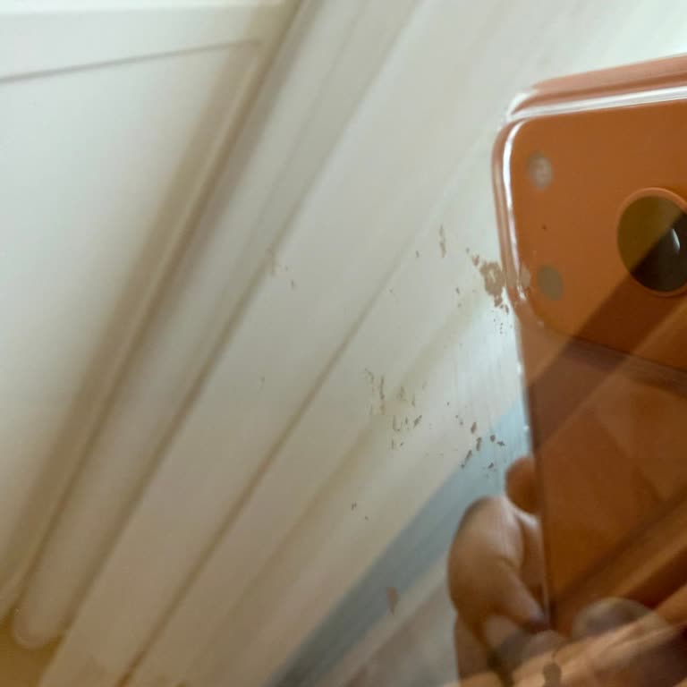 Evim Turkuaz Mobilyada Yanlış Ürün Ve Çizik Kapak İçin Hızlı Değişim Talebi