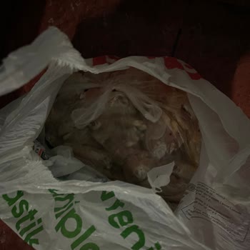 Koku Sorunu Ve Bozuk Tavuk İçin İade Talebi