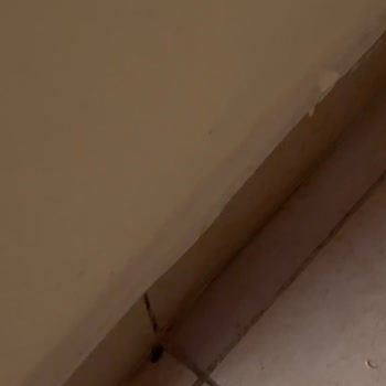 Montebello Beach Hotel Hijyen Ve Temizlik Konusunda Ciddi Sıkıntılar Yaşadım