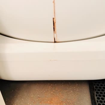 Kedi Tuvaletinde Uzun Servis Süresi Ve Değişim Talebi