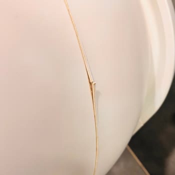 Kedi Tuvaletinde Uzun Servis Süresi Ve Değişim Talebi