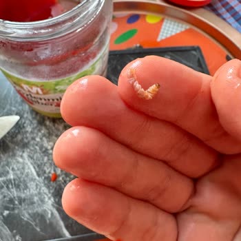 Migros Közlenmiş Biber Kavanozda Canlı Hayvan Bulundu