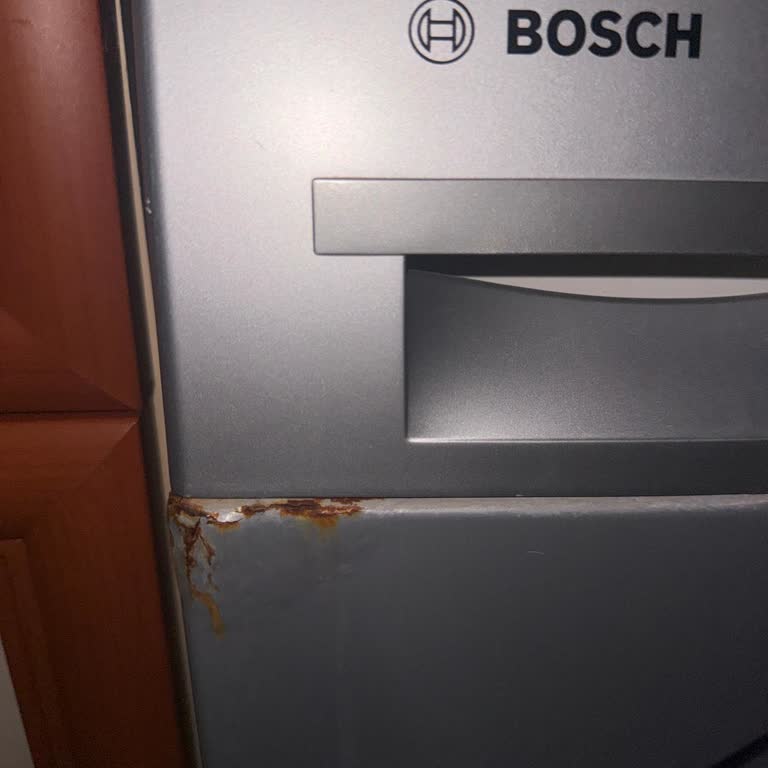 Bosch Maxx 7 Deterjan Kutusu Paslanması İçin Garanti Talebi