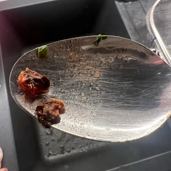 Domates Ürünün İçinde Yabancı Maddeler Ve Hijyen Sorunu