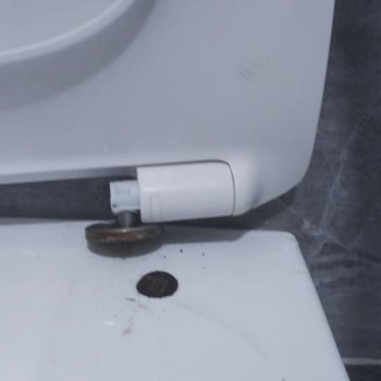 Cerastyle Klozet Kapağının Menteşesi Kırıldı Yedek Parça Talebi