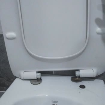 Cerastyle Klozet Kapağının Menteşesi Kırıldı Yedek Parça Talebi