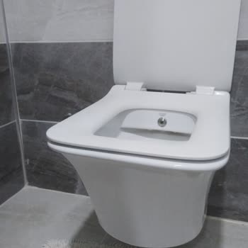 Cerastyle Klozet Kapağının Menteşesi Kırıldı Yedek Parça Talebi