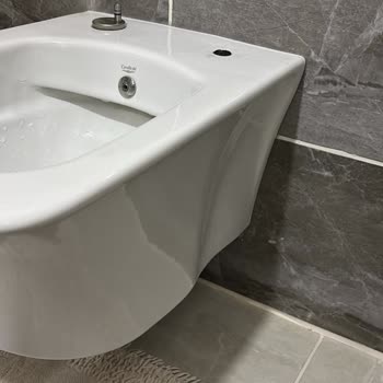 Cerastyle Klozet Kapağının Menteşesi Kırıldı Yedek Parça Talebi