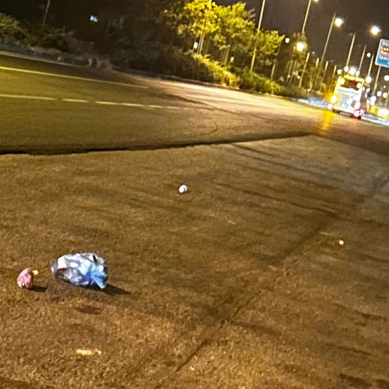 Geciken Otobüs, Aşırı Hız Ve Çevre Kirliliği Şikayeti