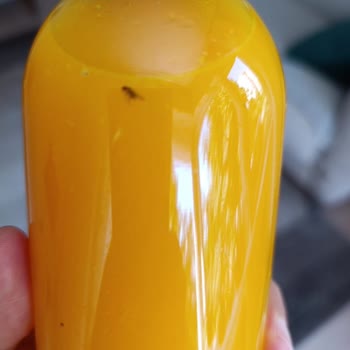 Migros Taze Sıkılmış Portakal Suyunda Ölü Sinek Bulunması
