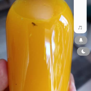 Migros Taze Sıkılmış Portakal Suyunda Ölü Sinek Bulunması