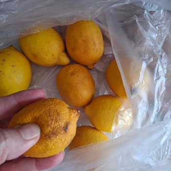 Migros'tan Çürük Domates Ve Limon Notuma Rağmen Gönderildi