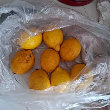 Migros'tan Çürük Domates Ve Limon Notuma Rağmen Gönderildi