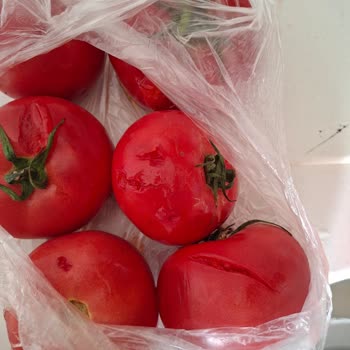 Migros'tan Çürük Domates Ve Limon Notuma Rağmen Gönderildi