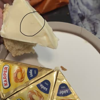 Karper Sade Üçgen Peynirde Kıl Tespiti