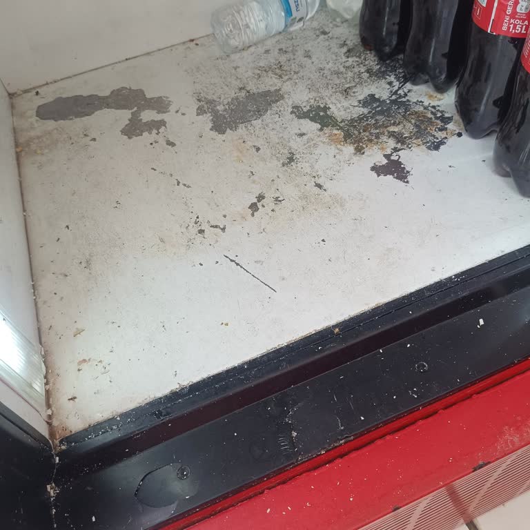 Bozuk Coca-Cola Dolabı Değişim Talebi