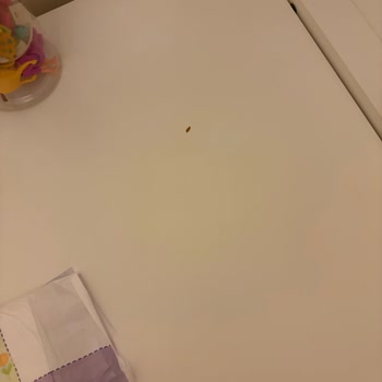 IKEA Micke Masasında 6 Ayda Kaplama Soyulması Ve Kalite Hayal Kırıklığı