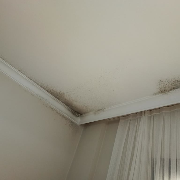 Çatı Katında Su Alması Ve Küf Oluşması Konusunda Sigorta Şirketinin Çözüm Üretmemesi