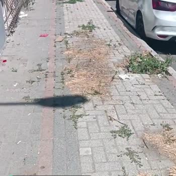 TurkNet Arızayı Çözmeyi Düşünmüyor