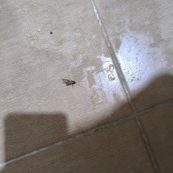 Blue Otel'de Hijyen, Tesis Ve Güvenlik Sorunları Nedeniyle Ücret İadesi Talebi