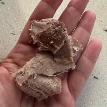 Bolca Hindi Ürünün İçindeki Keskin Kemik Parçası Kedimi Tehlikeye Attı