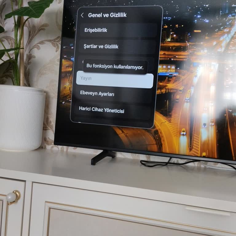 Samsung Televizyonunda Yayın, Kullanım Modu Ve Fabrika Sıfırlama Menüsü Kullanılamıyor