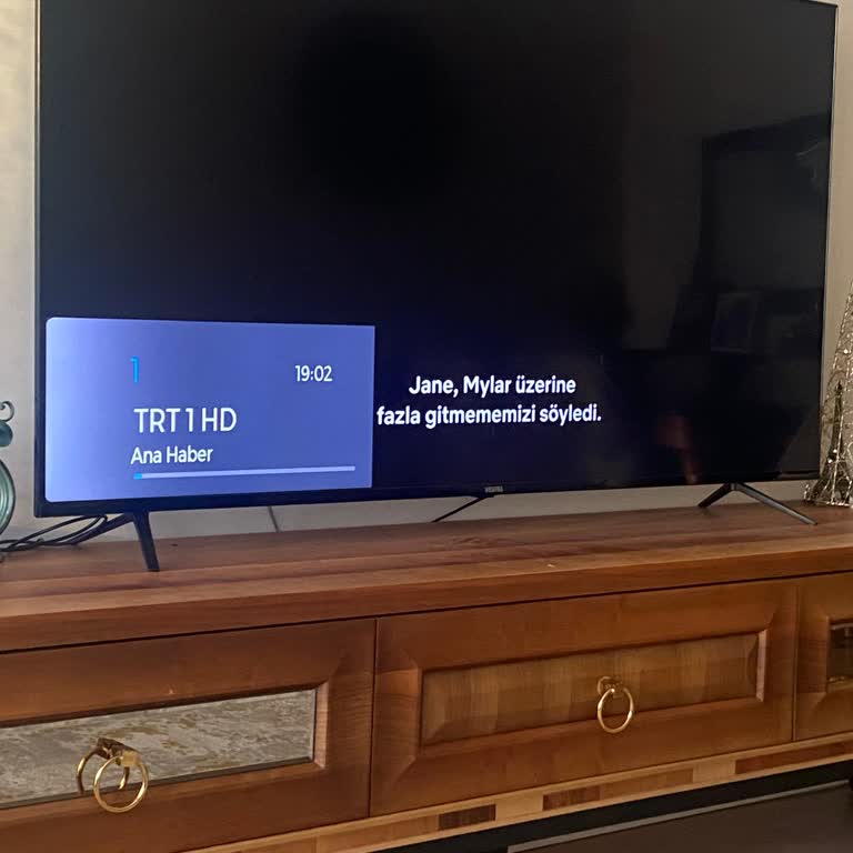 Vestel TV'de Netflix Uygulaması Kesiliyor Ve Görüntü Kalıntıları Bırakıyor