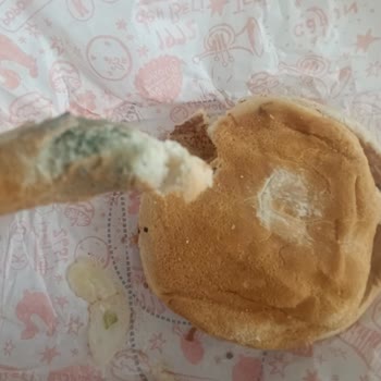 Küflü Hamburger Ekmeği Gönderilmesi Sağlık Ve Hijyen Açısından Kabul Edilemez
