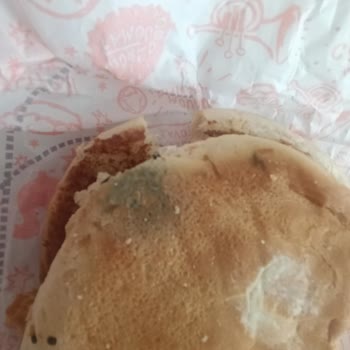 Küflü Hamburger Ekmeği Gönderilmesi Sağlık Ve Hijyen Açısından Kabul Edilemez