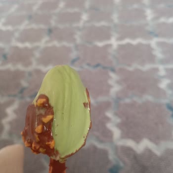 Sakarya BİM'de Satın Aldığım Adora Antep Fıstıklı Dondurması Bozuk Ve Küflü