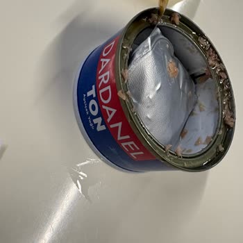 Dardanel Ton Balığında Keskin Plastik Parça Tespit Edildi