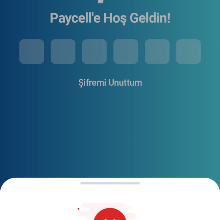 Paycell Uygulamasında Güvenlik Nedeniyle Sürekli Giriş Engeli