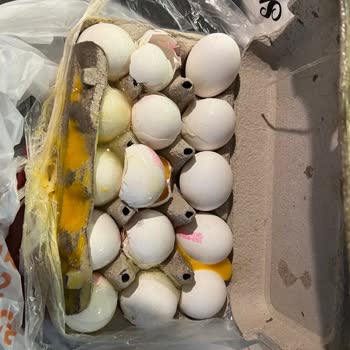 Migros Sanal Market’ten Kırık Yumurta Teslimatı