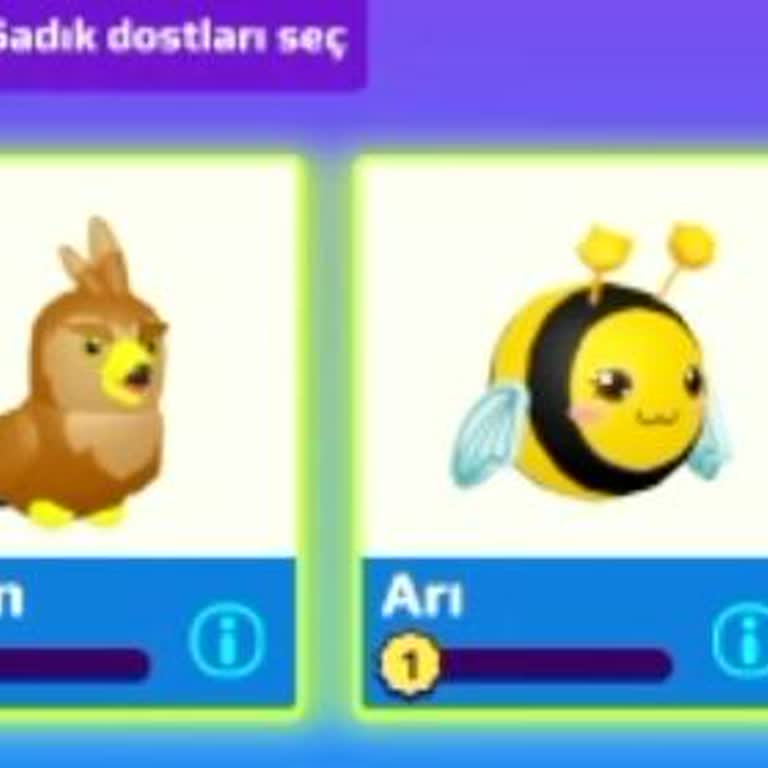 PK XD Hesabımda Eşyalarım Ve Petlerim Çalındı, Destek Bulamıyorum